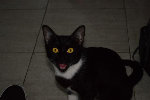 
          ""<br>
          November 13, 2024<br>
          NIKON D3200<br>
          55 mm, f/28/5, 1/60 s, ISO400
          