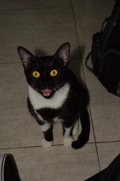 
          ""<br>
          November 13, 2024<br>
          NIKON D3200<br>
          40 mm, f/28/5, 1/60 s, ISO400
          