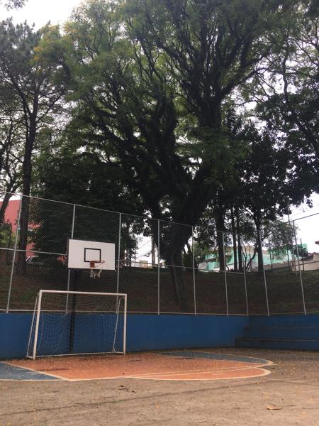 
          ""<br>
          November 09, 2024<br>
          iPhone SE (1st generation)<br>
          83/20 mm, f/11/5, 1/499 s, ISO25
          