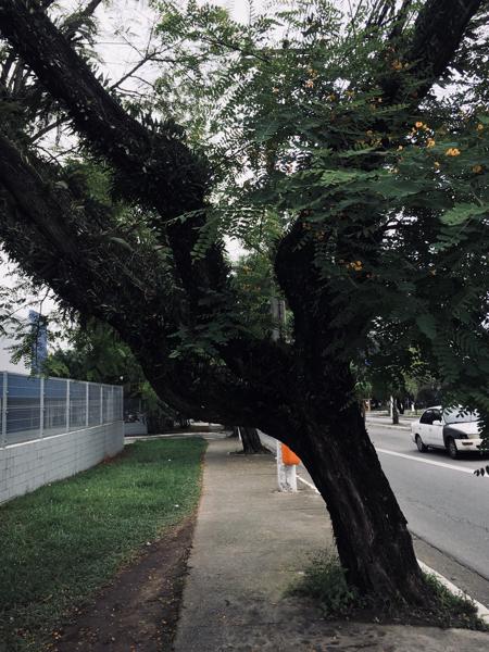 
          ""<br>
          November 09, 2024<br>
          iPhone SE (1st generation)<br>
          83/20 mm, f/11/5, 1/493 s, ISO25
          